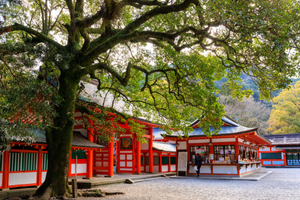 和歌山県にある妊活中におすすめの子宝神社の風景